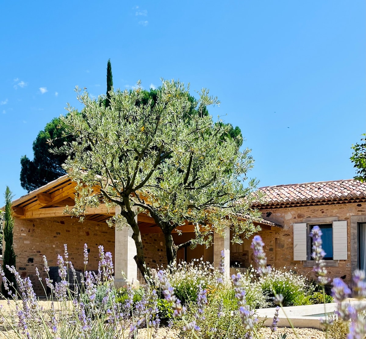 A charming stone house is surrounded by vibrant greenery and blooming lavender. An olive tree features prominently in the garden, with a covered porch offering shade. The clear blue sky enhances the serene outdoor environment.