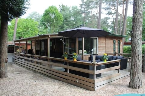 Luxury chalet Veluwe 6 people Doornspijk Bambi