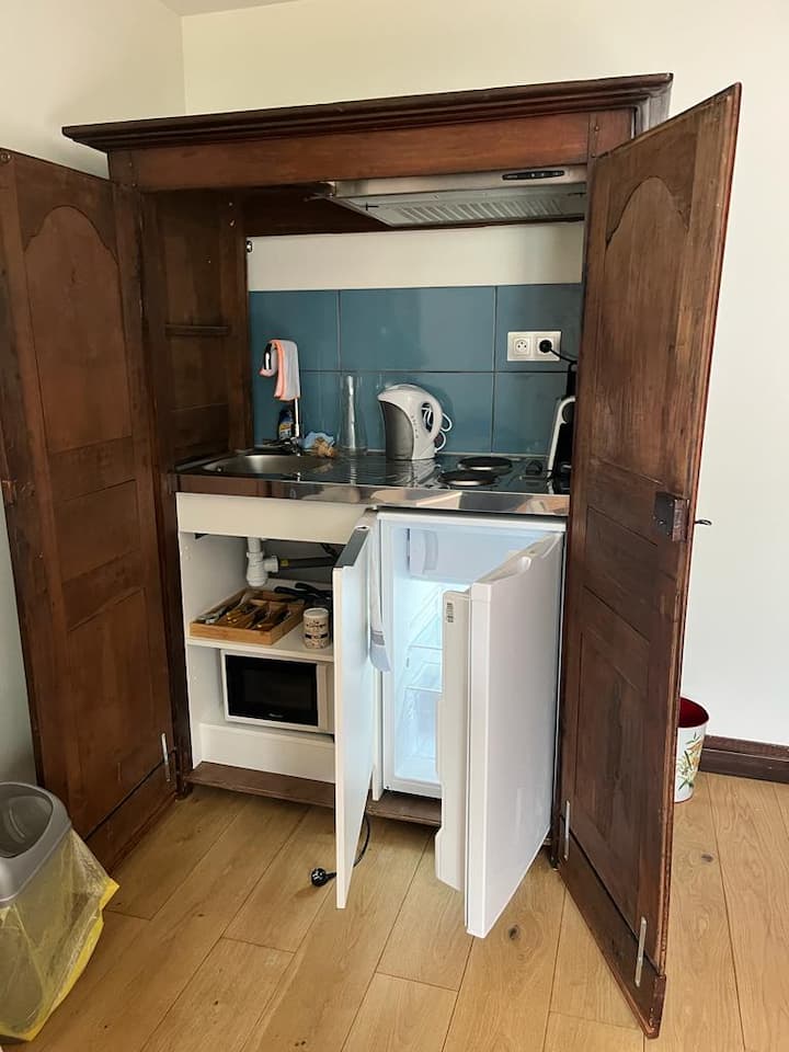 Studio Dans Authentique Chalet Face Au Mont-blanc - 霞慕尼