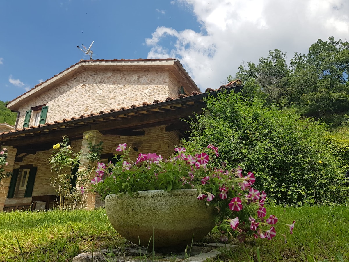 A charming stone villa is surrounded by lush greenery and features a covered porch. A large planter filled with vibrant pink flowers sits in the foreground, enhancing the natural beauty of the exterior, while trees and shrubs provide a serene backdrop.