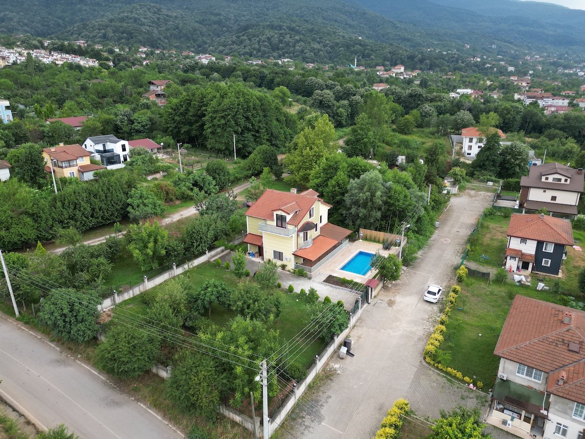 An aerial view showcases a spacious house surrounded by lush greenery, featuring a private pool in the backyard. The property is enclosed by a fence and is accompanied by well-maintained gardens and nearby residences, conveying a serene and inviting atmosphere.