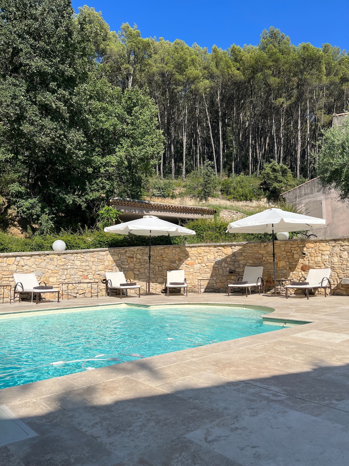 A serene pool area is surrounded by natural greenery, featuring six lounge chairs under white umbrellas. The stone wall adds texture, while the calm blue water reflects the clear sky, creating a peaceful outdoor retreat.