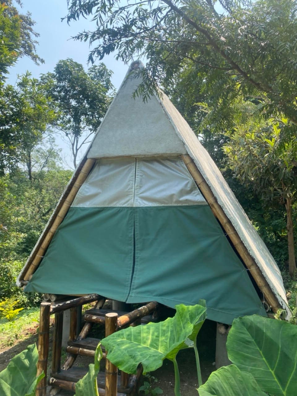 A triangular-shaped glamping structure is surrounded by lush greenery. The exterior features a dual-color fabric design, with a lighter top section and a darker green lower section. Natural wooden elements are visible on the base, complementing the serene outdoor environment.