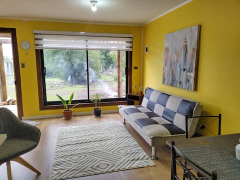 Successful Airbnb property: Luca's little cabin in Región Del Biobío