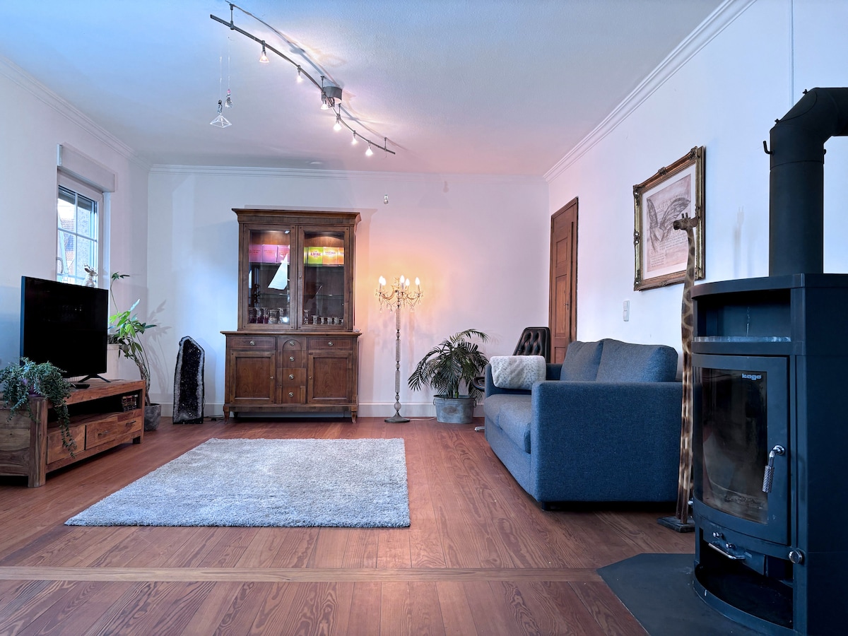 A spacious living area features wooden flooring and large windows allowing natural light. A blue sofa sits adjacent to a wooden cabinet and a television. A cozy rug anchors the space, while a decorative plant and a candle holder add subtle aesthetics. A wood-burning stove provides warmth.