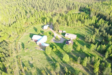 In the Cache of the Forest - Rent and enjoy the peace of nature