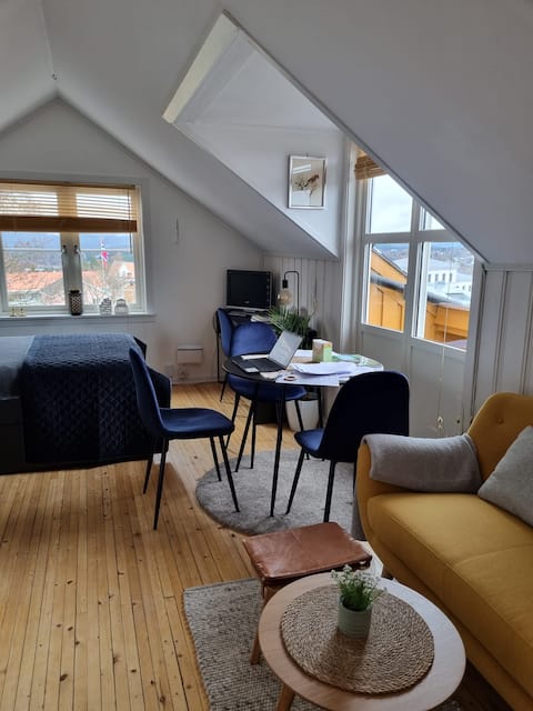 Loft apartment in Øvrebyen