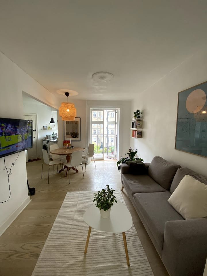 Cozy and bright apartment Apartments for Rent in Frederiksberg, Denmark Airbnb