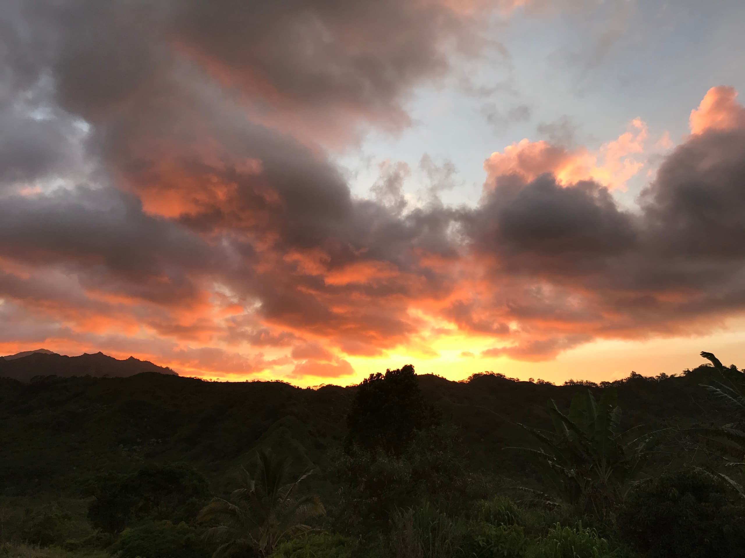 Home in Kauai · ★4.92 · 4 bedrooms · 7 beds · 3.5 private baths - Image 13