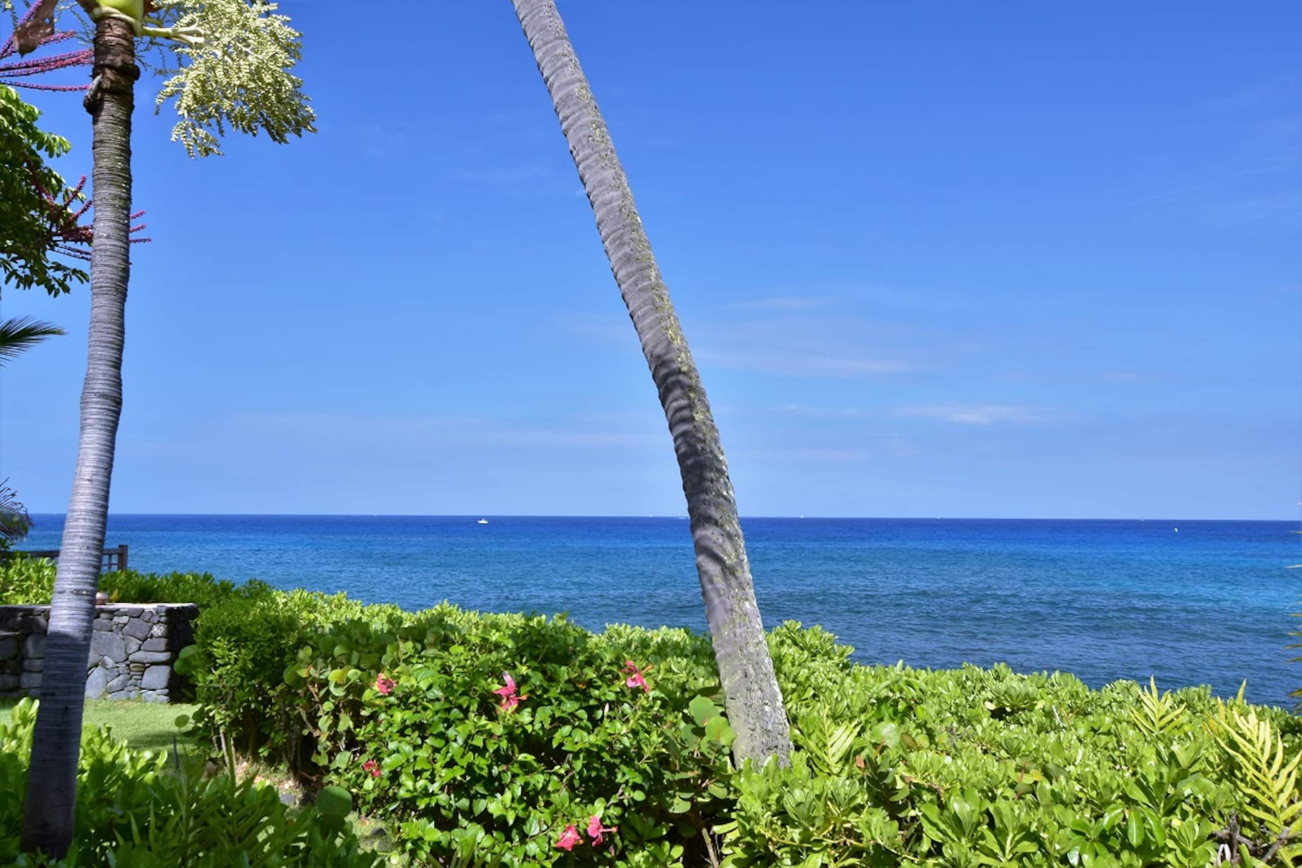 Home in Kailua-Kona · ★4.97 · 4 bedrooms · 5 beds · 3 baths - Image 39
