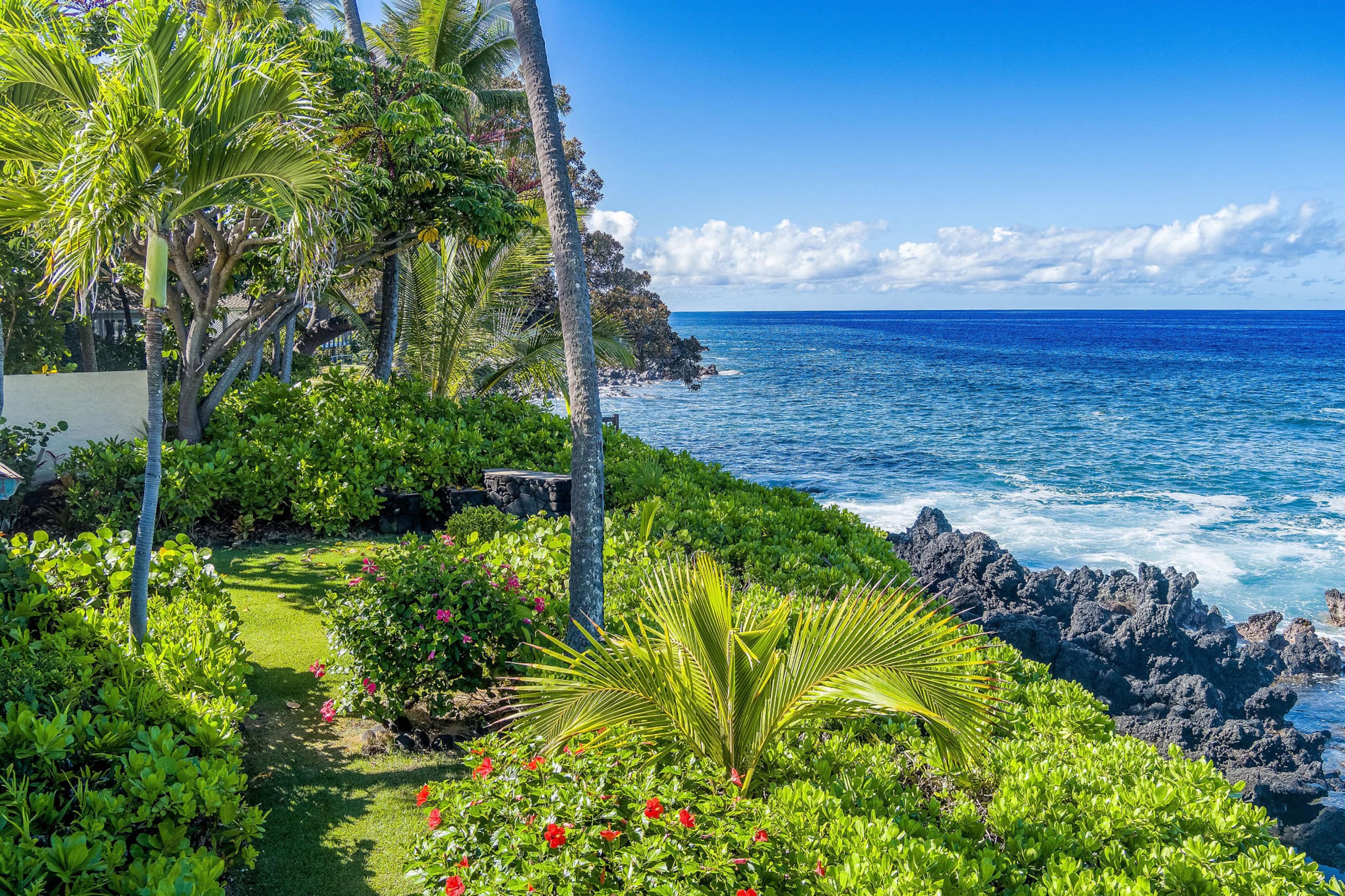 Home in Kailua-Kona · ★4.97 · 4 bedrooms · 5 beds · 3 baths - Image 38