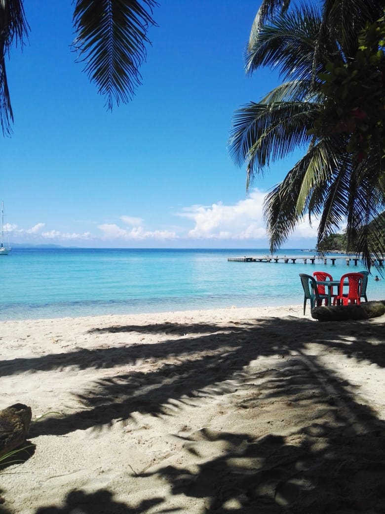 A serene beach scene captures calm turquoise waters gently lapping against soft, sandy shores. Palm fronds cast playful shadows on the sand, while two colorful chairs are positioned invitingly under the shade, offering a perfect spot to relax and enjoy the surrounding natural beauty.