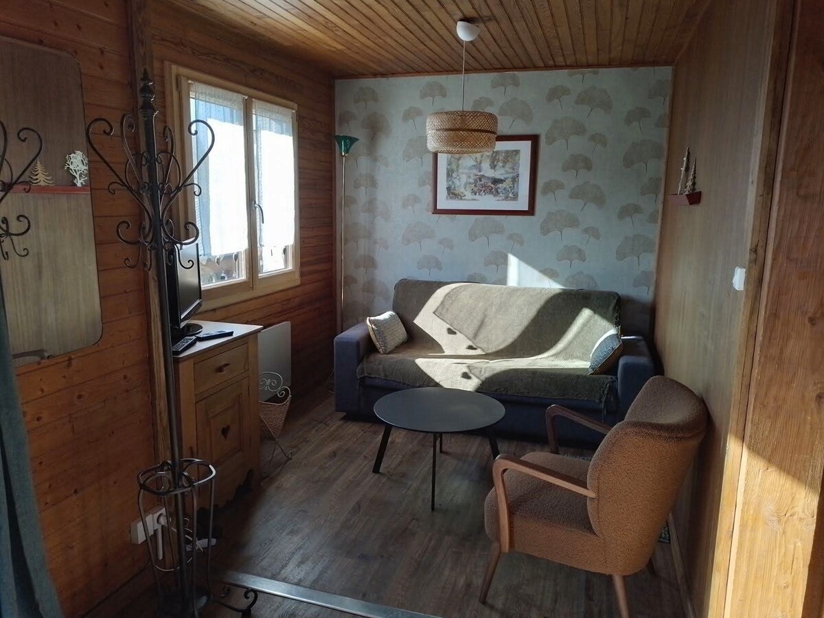 A cozy living area features a comfortable sofa, a small round coffee table, and an armchair. Large windows allow natural light to illuminate the wooden walls and patterned decor. A TV is available on a cabinet, enhancing the space's functionality.