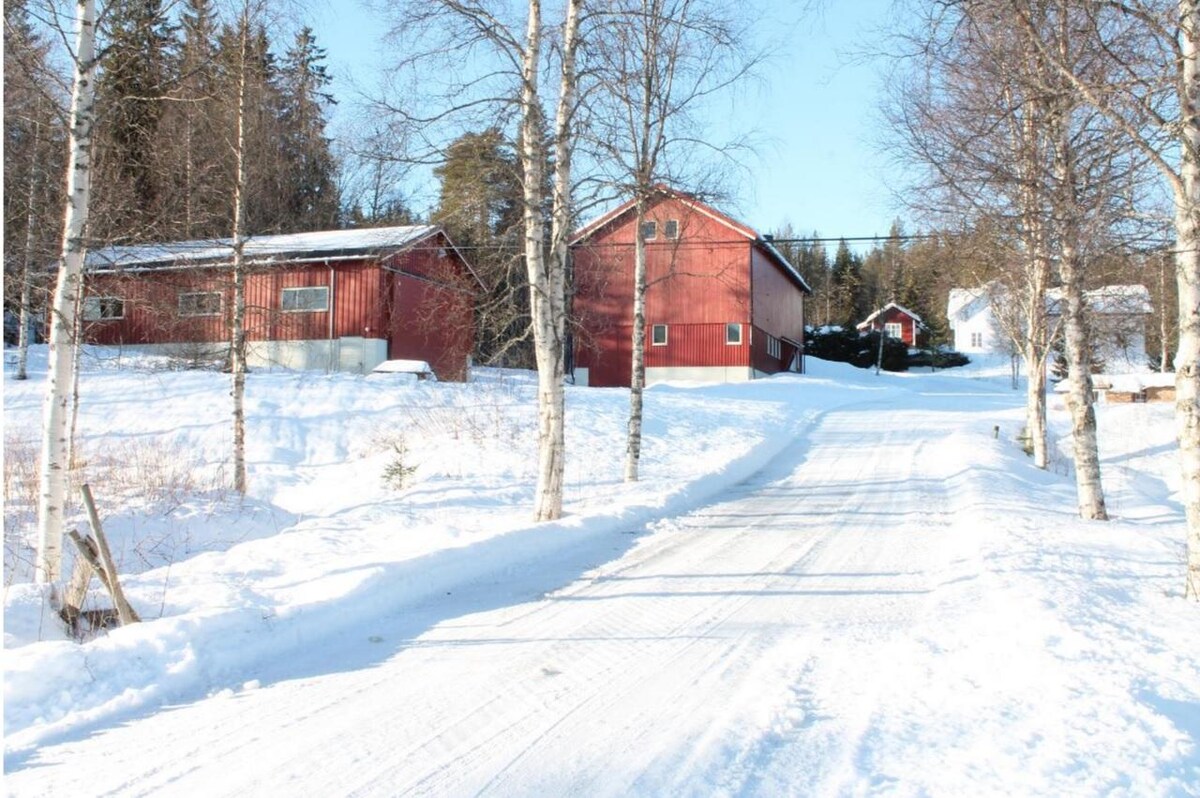 A snowy pathway leads towards red farm buildings, framed by bare birch trees. The scene captures a tranquil winter landscape, with a clear blue sky above and snow covering the ground, enhancing the serene atmosphere of the surroundings.