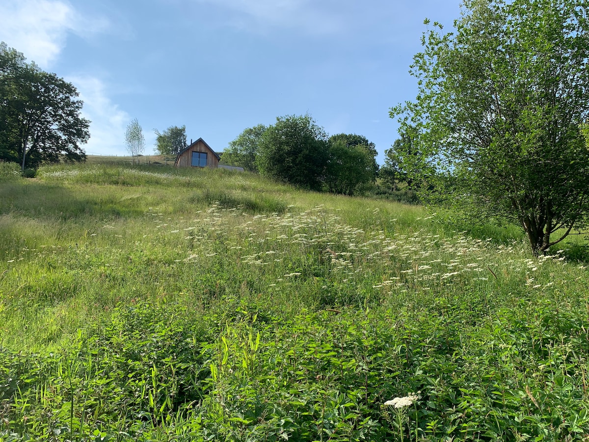 A serene landscape features a gently sloping meadow filled with wildflowers and lush green grass. In the background, the converted barn is visible among the trees, inviting a sense of tranquility and connection to nature.