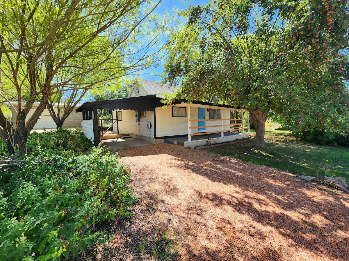 A cottage is nestled within a shaded yard, surrounded by mature fruit trees. A gravel pathway leads to a covered porch area with railings, providing a welcoming entrance. Lush greenery frames the exterior, enhancing the peaceful ambiance of the property.
