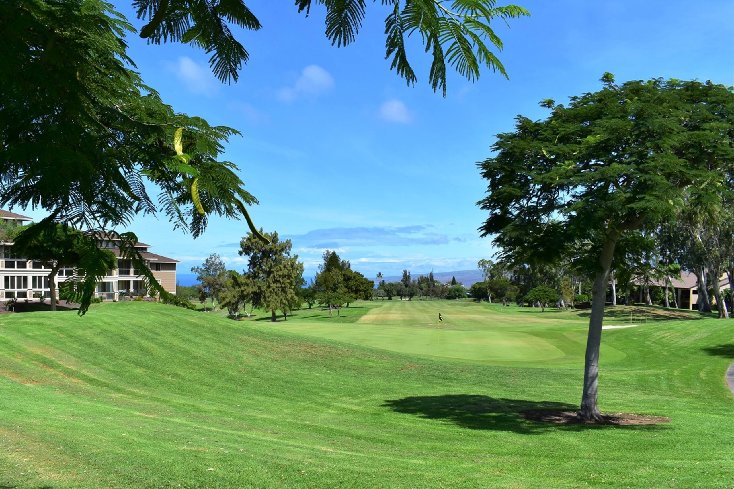 Ocean and golf course views! - Photo 27