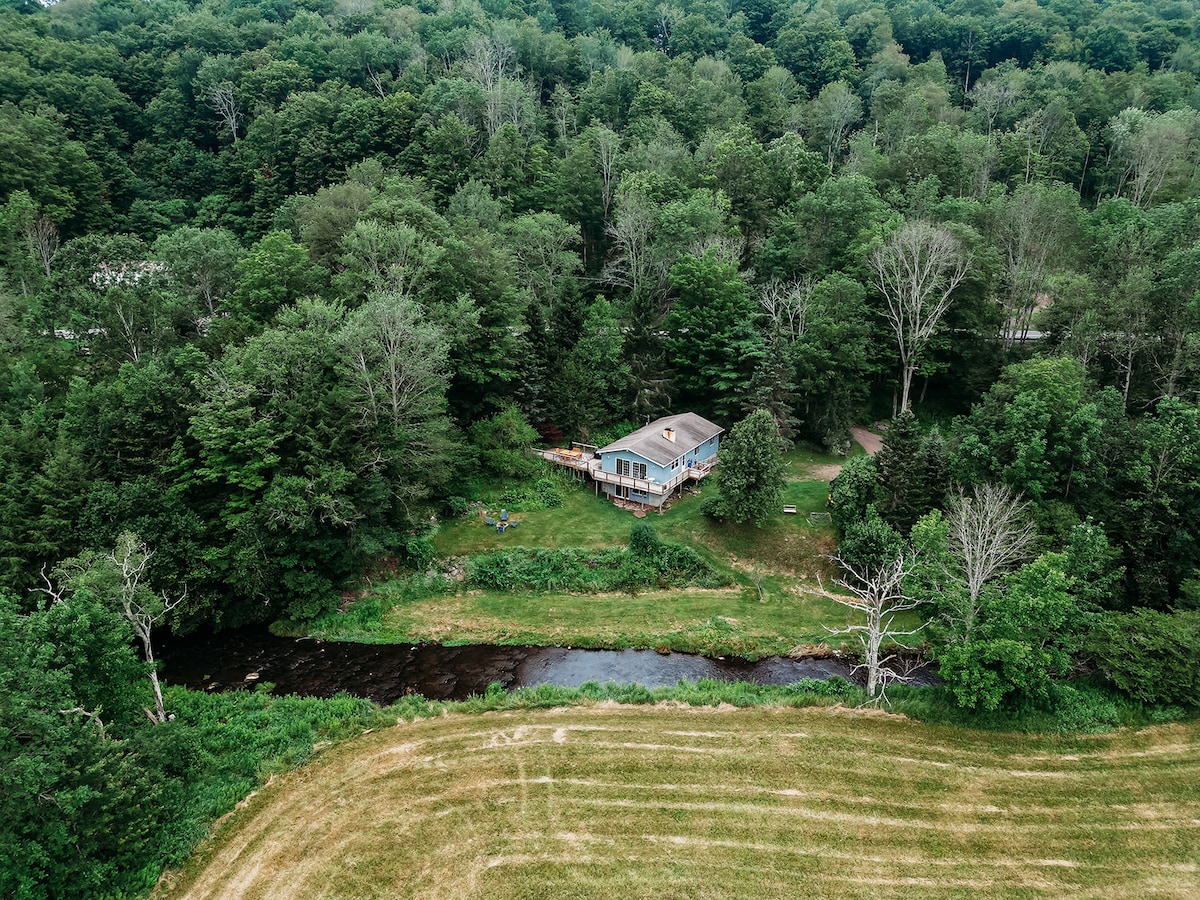 An aerial view captures a secluded cabin surrounded by dense green trees, perched next to a gently flowing stream. The lush landscape of grass and foliage encompasses the property, providing a sense of privacy. The cabin features a spacious deck that faces the water.