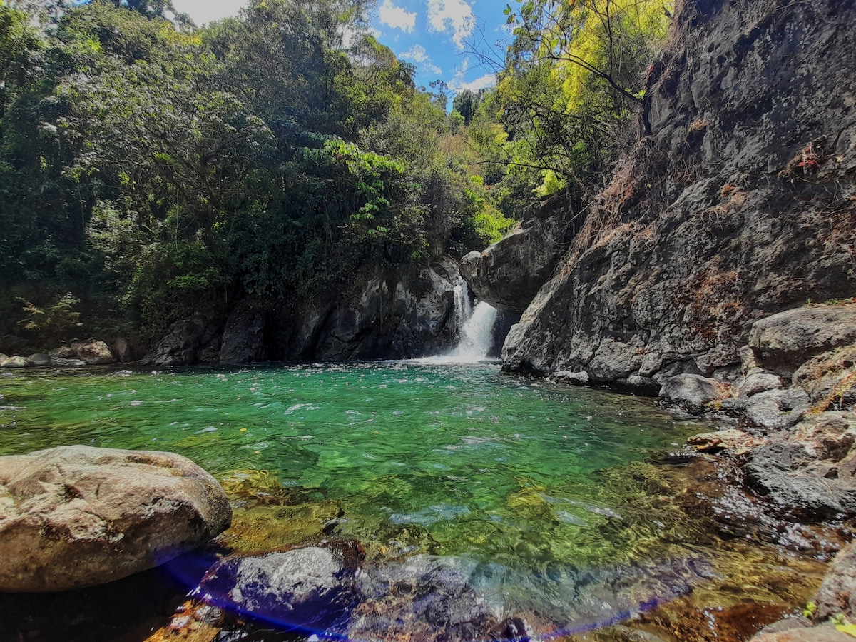 A serene pool of clear green water is framed by smooth rocks and lush vegetation. A small waterfall cascades down a rocky slope into the pool, surrounded by vibrant foliage under a bright blue sky.