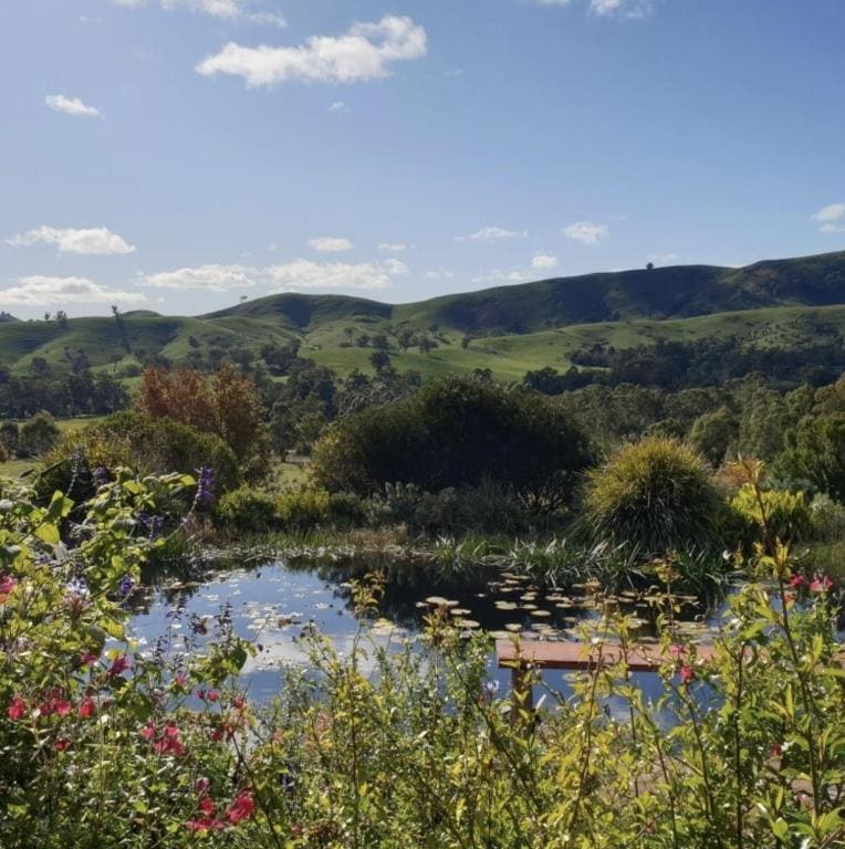 Lush greenery surrounds a calm pond, reflecting vibrant water lilies. The distant hills roll gently under a clear blue sky, while colorful flowers frame the foreground, creating a serene natural landscape.