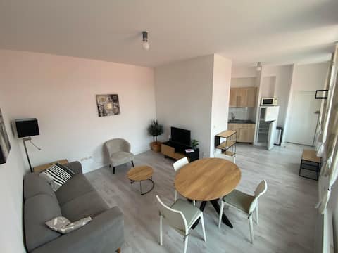 Bright apartment near Lille