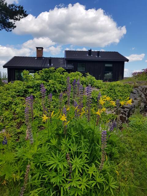 The house by the forest
