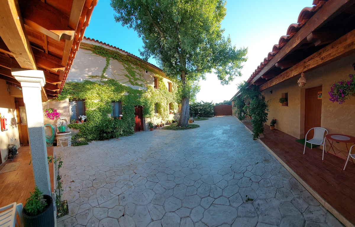 A spacious courtyard is surrounded by buildings adorned with greenery and rustic details. Paved with textured stone, the area features several planters and a large tree providing shade. Seating arrangements are set near the entrance to some of the rooms.