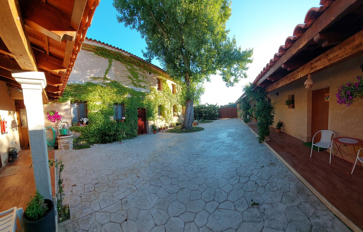 A spacious courtyard is surrounded by rustic buildings, accented by climbing greenery. Sunlight filters through the trees, illuminating the stone pathway. A small seating area with two chairs and a table is visible, offering a peaceful spot to enjoy the serene environment.