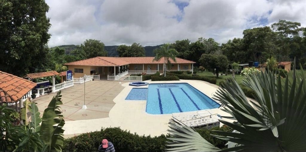 An outdoor area features a large swimming pool surrounded by sun loungers and palm trees. A spacious patio with a barbecue area is seen adjacent to the pool. Lush greenery and tropical plants enhance the setting, creating a serene environment.