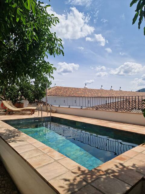 Historic apartment. Downtown, pool and views. 6 people