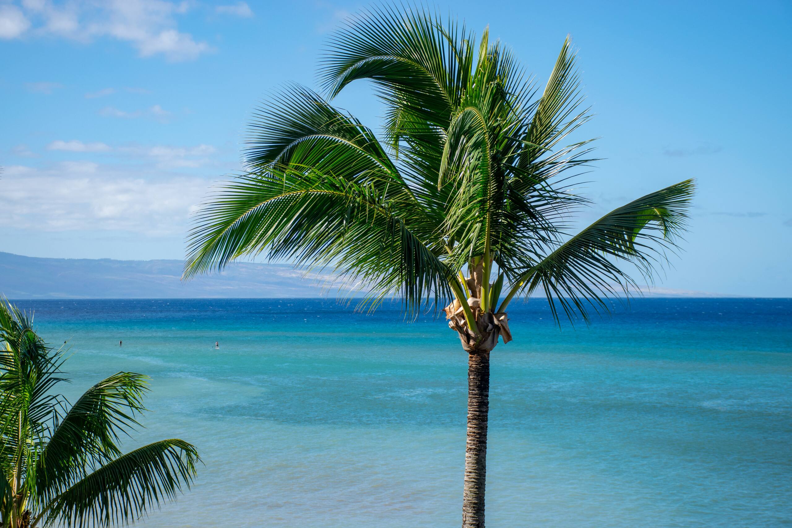 Condo in Lahaina · ★4.83 · 2 bedrooms · 8 beds · 2 baths - Image 15