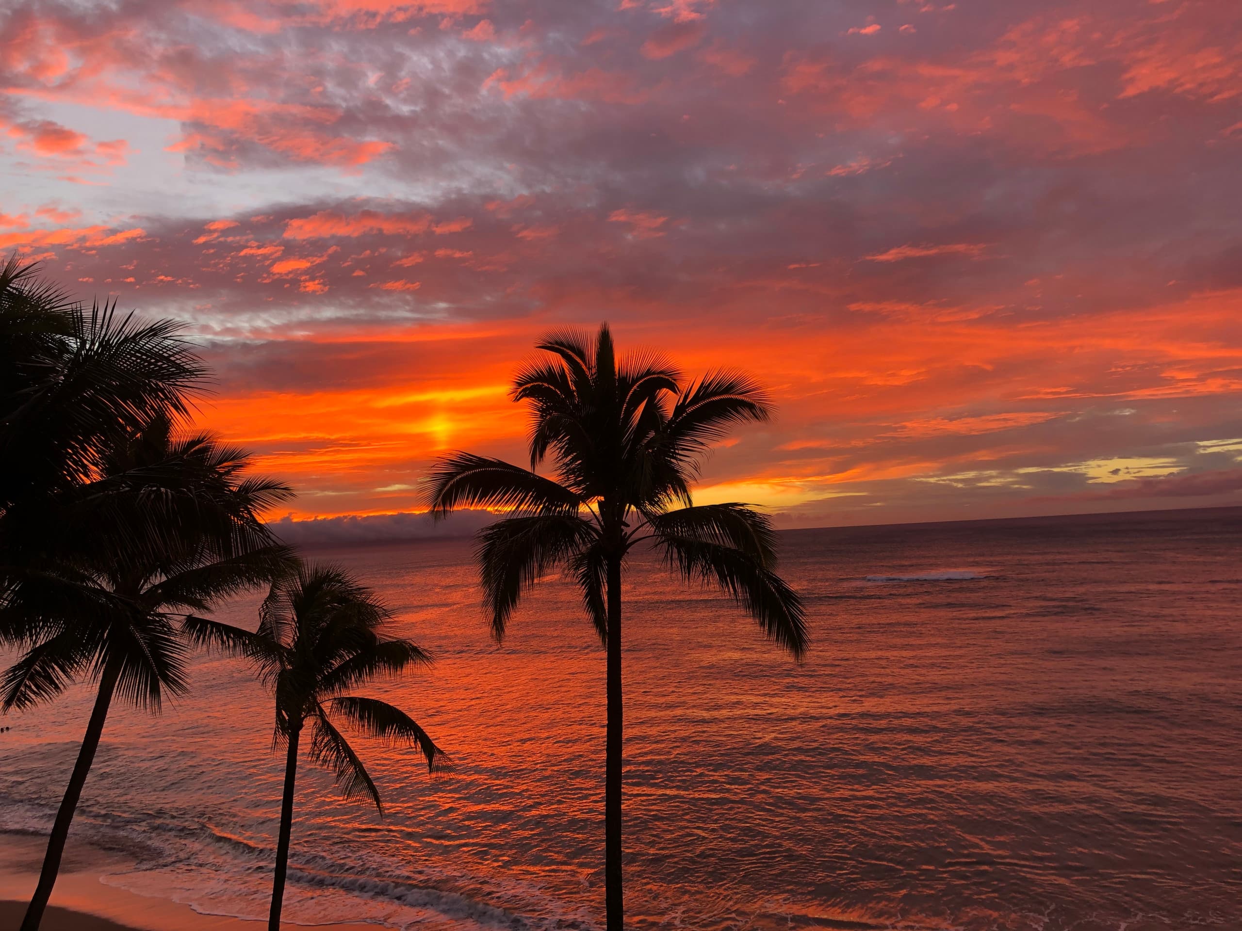 Condo in Lahaina · ★4.83 · 2 bedrooms · 8 beds · 2 baths - Image 25