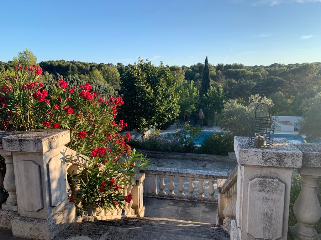 A stone staircase is surrounded by vibrant flowers, leading down towards a lush garden. In the background, greenery fills the view, with a glimpse of a serene pool visible amid the trees. Soft sunlight casts a warm glow over the scene.
