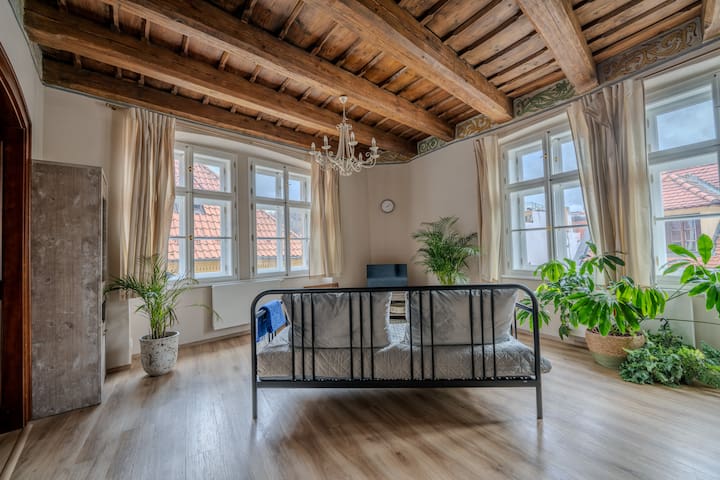 Charles Bridge Apartment, Prague