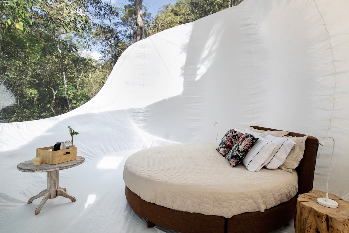 A spacious round bed is centrally placed within a softly illuminated tent with a white interior. Natural light filters through large windows, showcasing the surrounding greenery. A small wooden table with a decorative plant and a serving tray adds a touch of comfort to the inviting space.