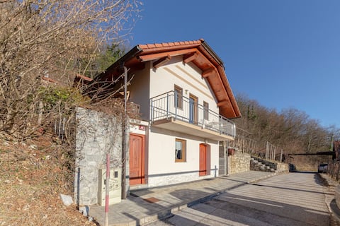 Holiday House | Masonry between Vines