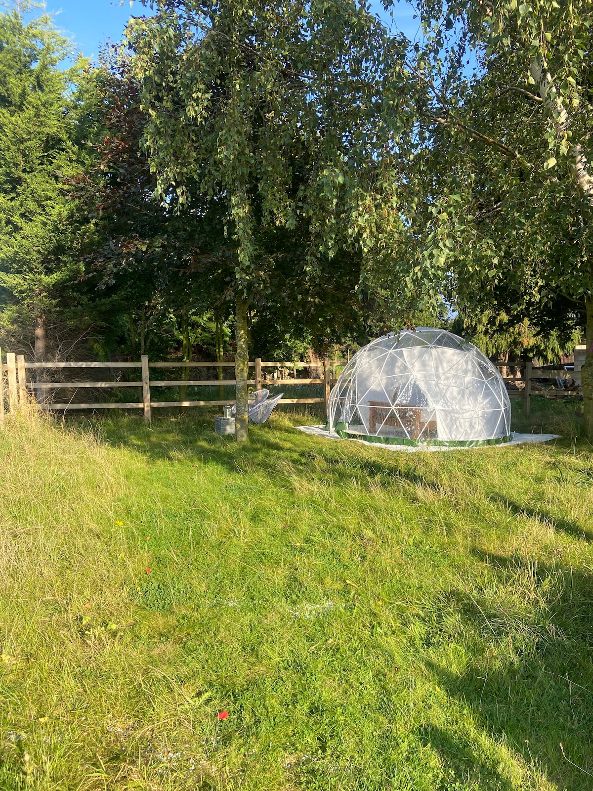 A clear geodesic dome structure is set within a grassy area, surrounded by tall trees and a wooden fence. Comfortable seating is positioned nearby, emphasizing the natural surroundings and tranquil setting of the campsite.