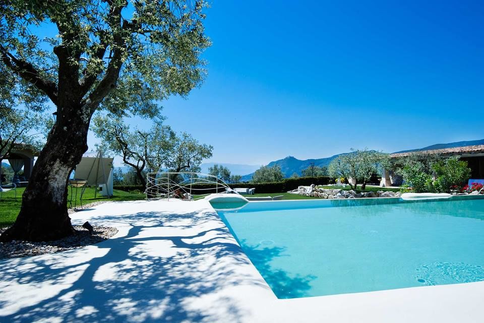 A serene swimming pool is framed by olive trees and lush green lawns. The clear blue sky reflects on the water's surface, creating a calm atmosphere, while the distant mountains provide a scenic backdrop.