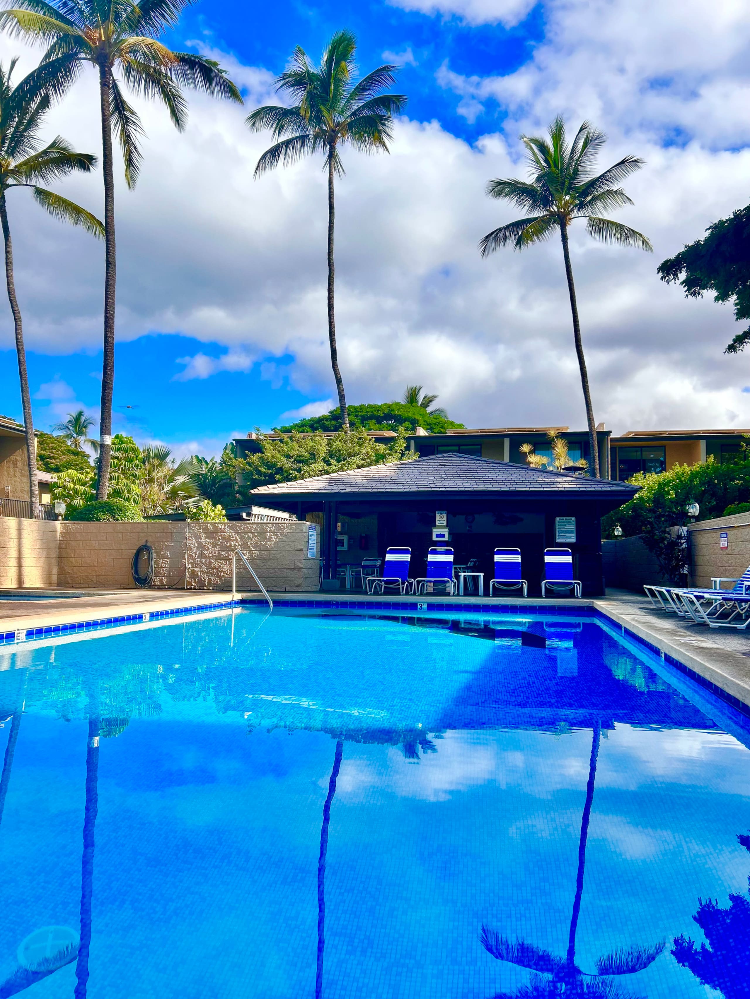 Home in Kihei · ★4.97 · 1 bedroom · 2 beds · 1 bath - Image 15