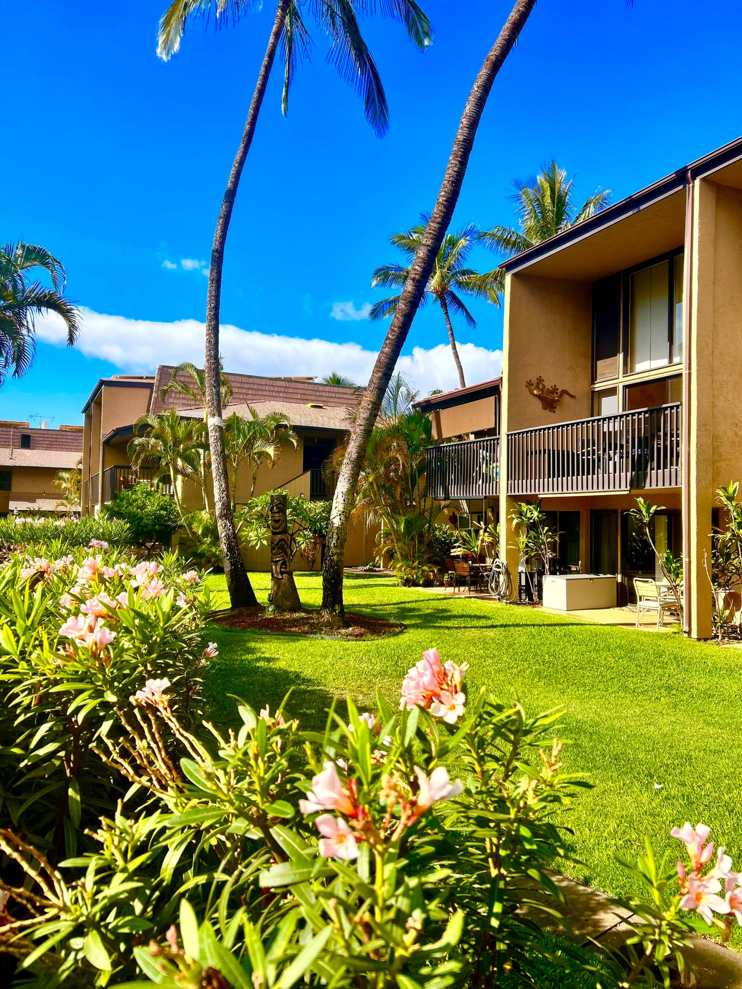 Home in Kihei · ★4.97 · 1 bedroom · 2 beds · 1 bath - Image 13
