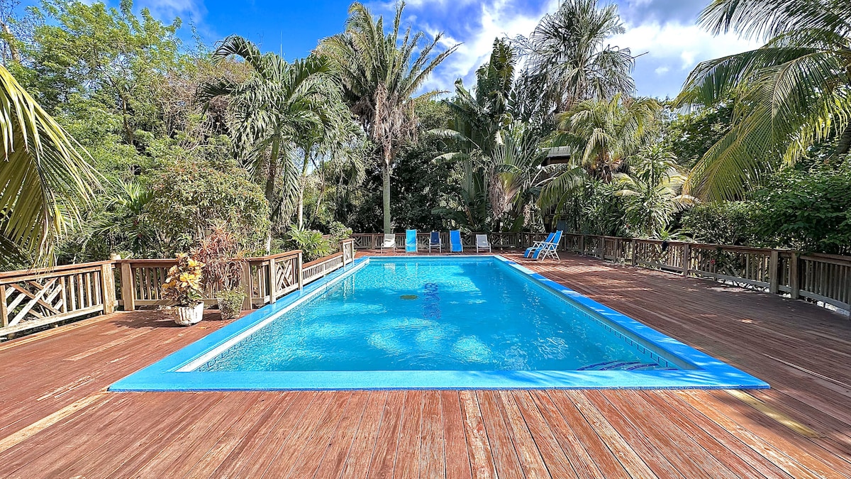 A spacious outdoor swimming pool is surrounded by a wooden deck and tropical foliage. Sun loungers are positioned around the pool, and clear blue water reflects the sky above. Lush greenery adds a sense of privacy and tranquility to the area.