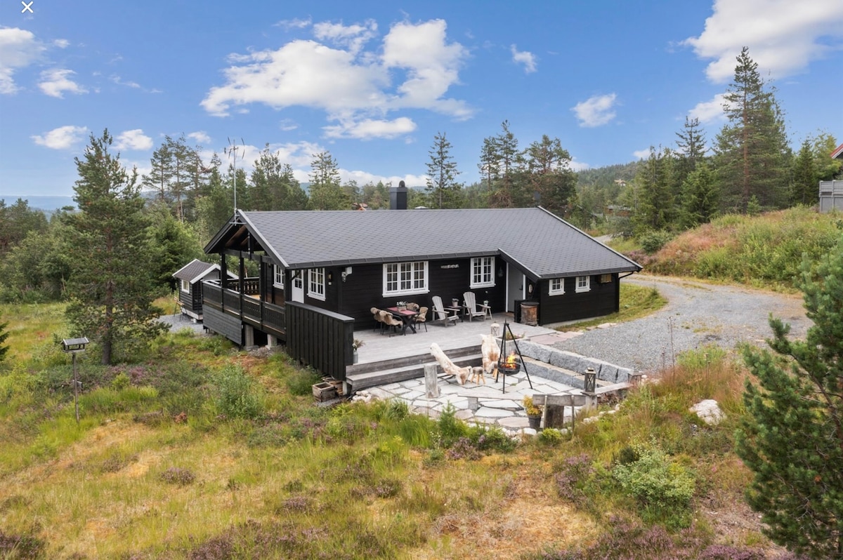 A modern black cabin is set amidst a natural landscape, featuring a spacious outdoor seating area and a fire pit. The structure is surrounded by greenery and offers a gravel driveway, providing easy access. Large windows reflect the inviting atmosphere of the cabin.