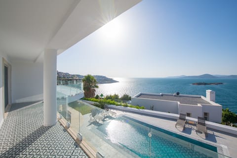 Patron Villa 1
