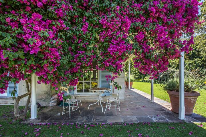 Bordeaux 5 Star Villa gallery image 2