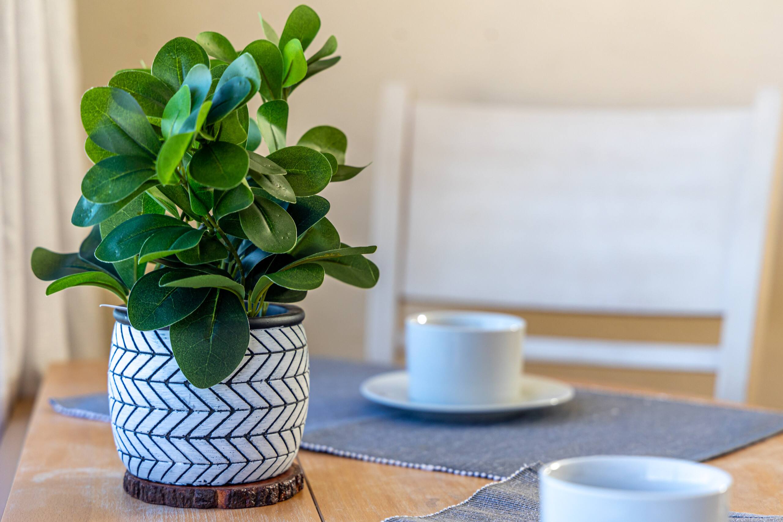 Condo in Honolulu · ★4.72 · Studio · 2 beds · 1 private bath - Image 24