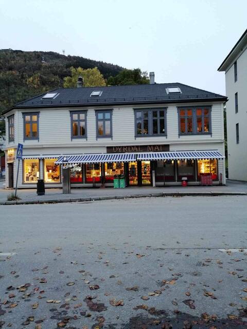 Central apartment in Voss