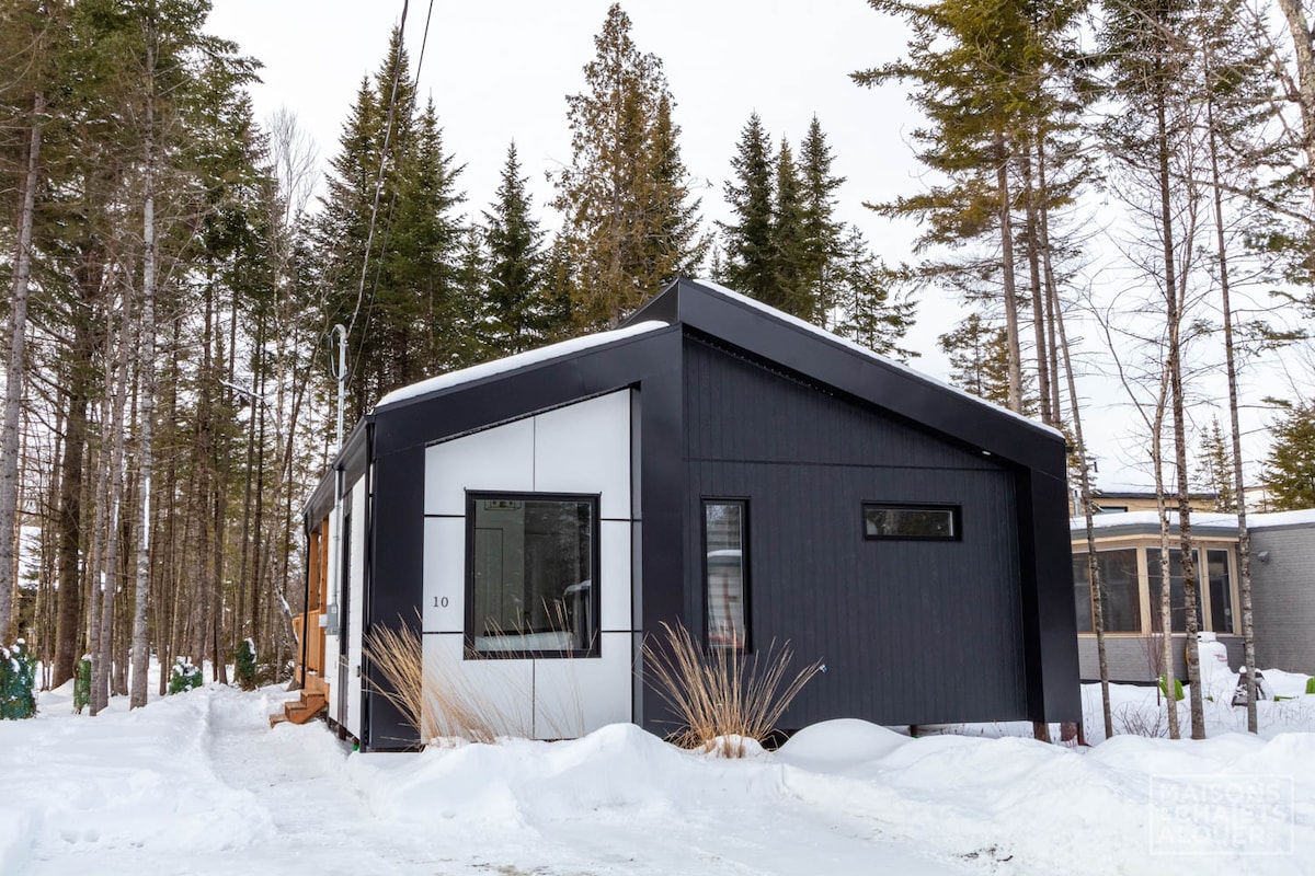 A contemporary chalet is showcased against a backdrop of snow and pine trees. Its sleek black and white exterior features large windows, allowing natural light to enter. The entrance is highlighted by wooden steps leading to the door, surrounded by soft white snow.