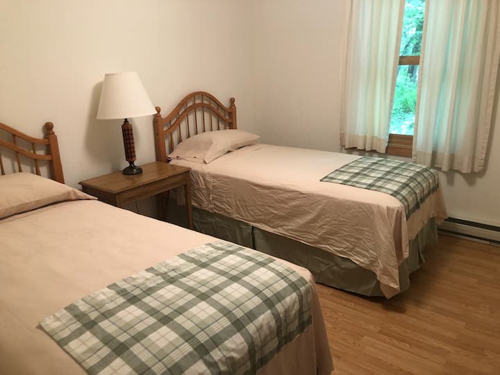 Маслинова мухоловка с изглед към гората