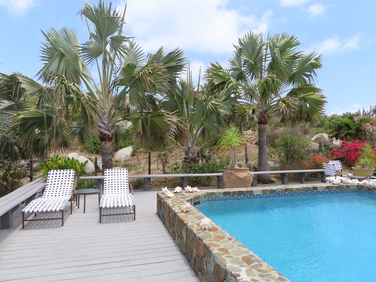 A refreshing pool is surrounded by a stone wall, featuring a patio with two lounge chairs. Tropical palm trees and vibrant foliage create a lush atmosphere around the area, with a clear blue sky visible above.