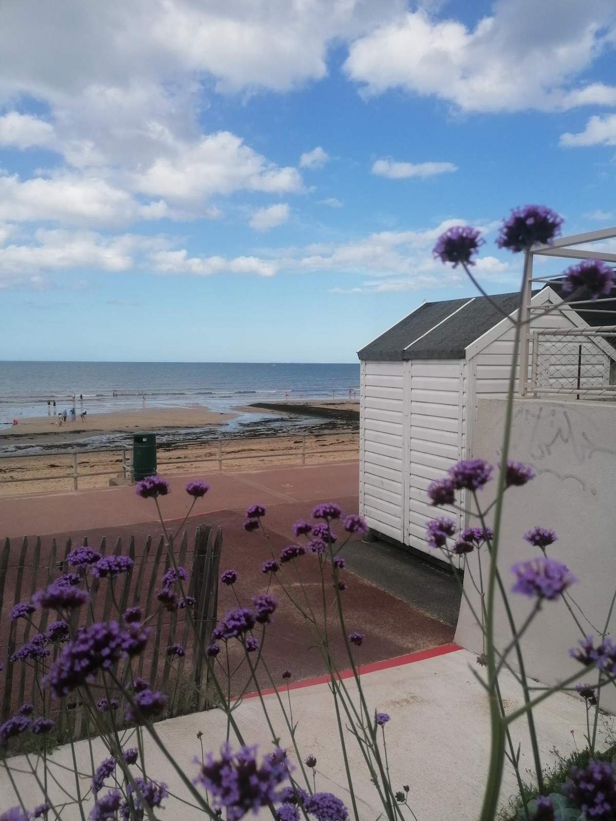The view features a sandy beach with gentle waves under a cloudy blue sky. In the foreground, purple flowers bloom, framing a white beach cabin. People can be seen enjoying the water in the distance, while a promenade runs alongside the beach.